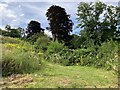 View from New Road footpath