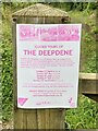 The Deepdene