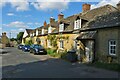 Cottages on Cox