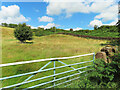 Farmland view