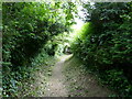 Footpath alongside the graveyard, Harvington