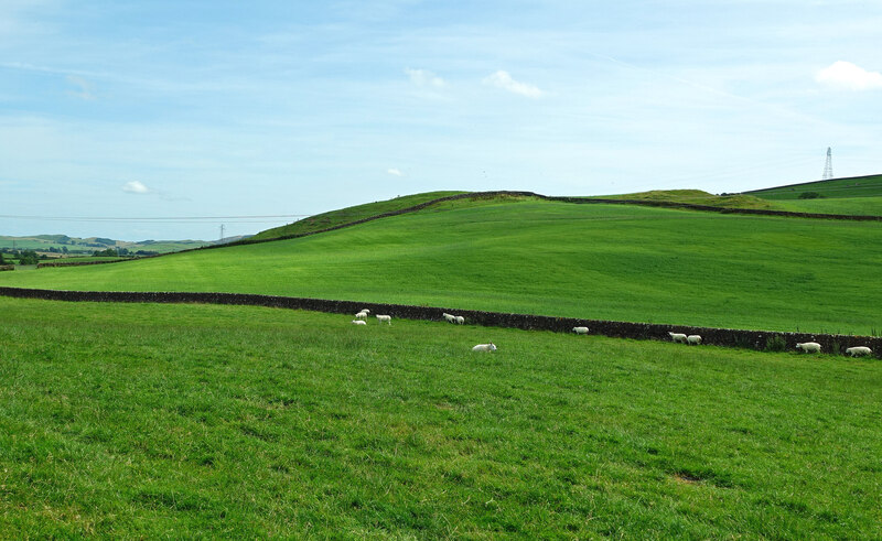 Grazing land around Head Hill © Mary and Angus Hogg :: Geograph Britain ...