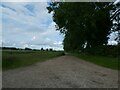 Farm track near Cawston