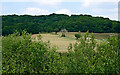 Farmland and woodland near Wordsley, Dudley