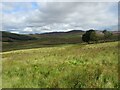 Glen Moy Moorland