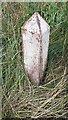 Leeds & Liverpool Canal milepost on NE side of towpath opposite Mudge Bank Wood