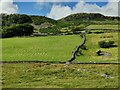 Valley near Nant-y-gwyrddail