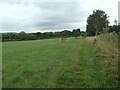 Public footpath heading east to Wood Row