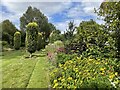 Colourful borders at Stillingfleet Lodge