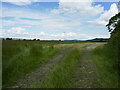 Grass field near Fiddington