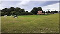 Field on south side of Wooden Hill Lane