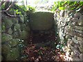 Stone Stile, Hewelsfield Common