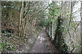 Footpath into Dorking