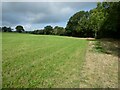 Walking up the field edge near Brockton