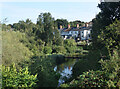 Old Cress Beds by the Ver