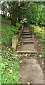 Footpath with steps from south end of Waste Lane