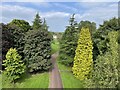 Cadzow Glen, Hamilton, Lanarkshire