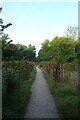 Path south of Dagley Lane