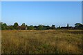 Field near East Shalford Lane