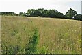 Footpath to Over Worton