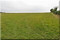 Footpath to Duns Tew