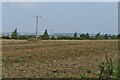 Power lines across the field