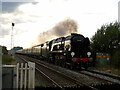 Clan Line at Collins Lane Crossing, Purton