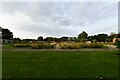 Great Snoring, redevelopment of the Thursford Castle Workhouse site 1: Overall view with laid out garden