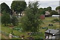 Allotments, Markham