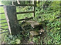 Stone Stile, Tiddenham Chase