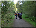 Walking to Kynren along The Bishop Auckland Railway Path