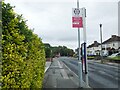 Bus stop on Green Lane