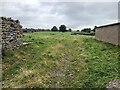 Sheep field, Kirkby Stephen