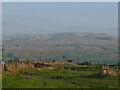 Howgill Fells seen from Moor House