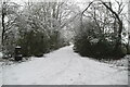 Snow, Leigh Lane