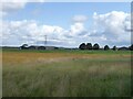 Agricultural sheds near Bartonmoss Farm