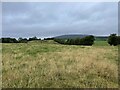 On Braggers Hill, south of Little Wenlock