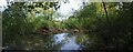 A Little Bentley Pond Panorama