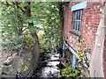 Bailey Brook by the bus garage