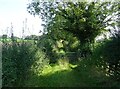 Farm track (footpath) off the A533