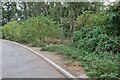 Footpath to Irchester from the lay-by