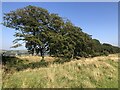 Antonine Wall