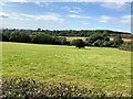 Field Bordering Dorket Head Quarry