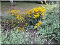 Flowerbed in Northway Gardens, Hampstead Garden Suburb