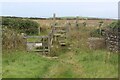 Gate and stile at West End, Marloes