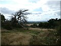 On the southern slopes of Haughmond Hill looking soutwards