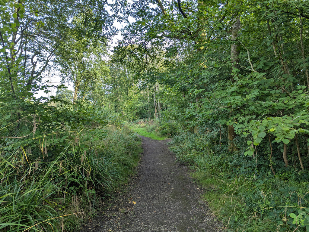 Path, Gravetye Estate \u00a9 Robin Webster cc-by-sa\/2.0 :: Geograph Britain and Ireland