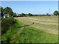 Path by side of hay field