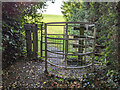 Gate on footpath from Hook-a-gate to Hanwood Bank