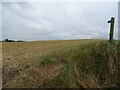 Stubble field and footpath off Holyhead Road